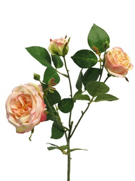 [12-13009-5] (Best) Italian rose spray x3 peach 61cm