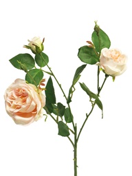 [12-13009-8] (Best) Italian rose spray x3 cream/pink 61cm
