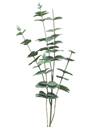 [12-30925-1] (Best) Eucalyptus Cinera leaf spray x5 90cm