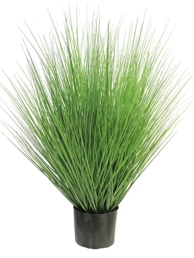 [12-51330-1] (Best) KING FETUQUE EN POT - VERT - 91cm