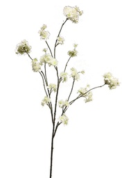 [12-91240-0] (Best) Prunus Malaga spray white 126cm