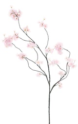 [12-91240-7] (Best) Prunus Malaga spray pink 126cm