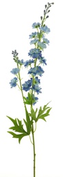 [12-93487-4] (Best) Delphinium Finn spray blue 85cm 12908