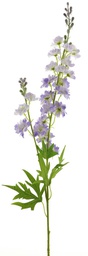 [12-93487-6] (Best) Delphinium Finn spray purple 85cm 12908