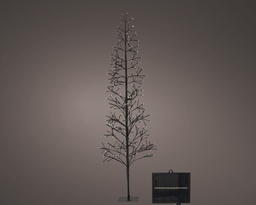 [4-496331] ***SOLAR TREE BLACK/WARM WHITE H180.00cm-288L
