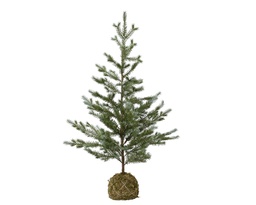 [4-681231] ***MOSS BALL MINI TREE 0 dia50.00-H100.00cm