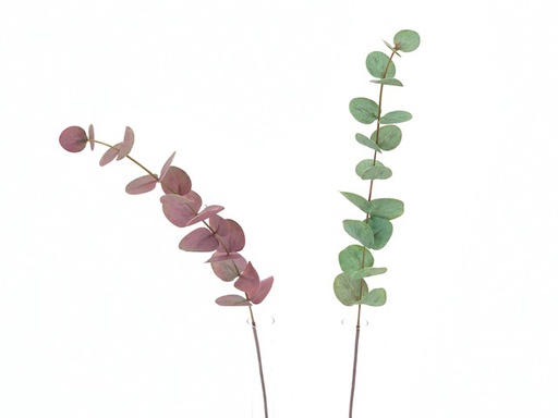 [DHG-021605] ***25" EUCALYPTUS STEM 18 LVS