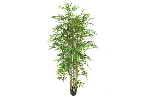 [DHG-058929] PLANTA DE BAMBÚ - 170 CM 1120 HOJAS