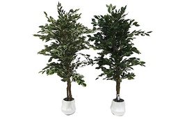 [DHG-058938] ARBOL DE FICUS - 5' 1092 HOJAS