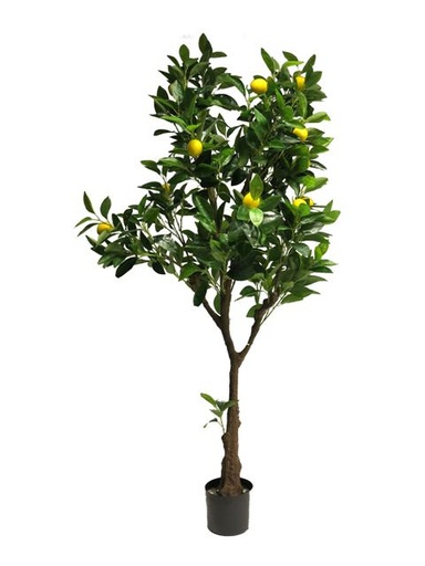 [12-60307-2] (Best) Lemon tree 150cm (16 lemons yellow)