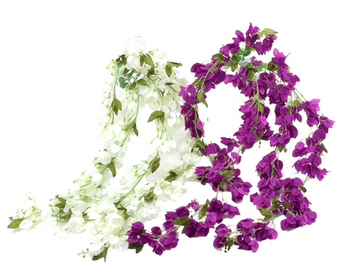 [DHG-383839921600] ***1.3M BOUGANVILLE HANGING BUSH