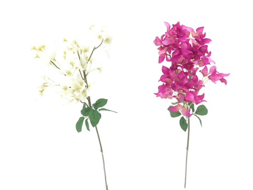 [DHG-383839962889] TIGE DE BOUGAINVILLIER BLANC - 83CM