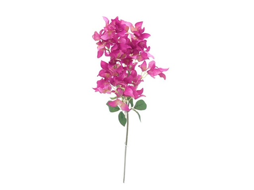 [DHG-383839962890] TIGE DE BOUGAINVILLIER FUCHSIA - 83CM