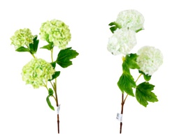 [DHG-383839912422] FLOR SNOWBALL VERDE X 3