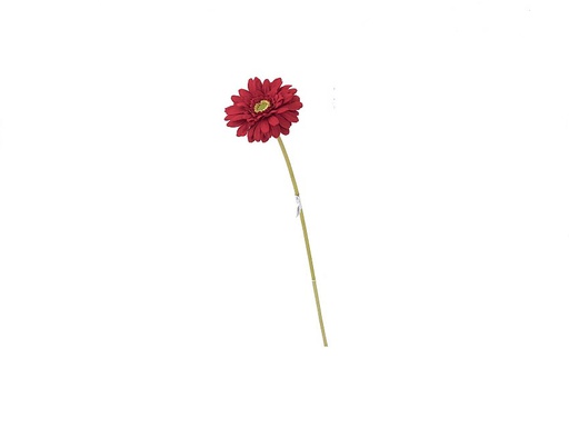 [DHG-009483] MARGUERITE - ROUGE - 61CM