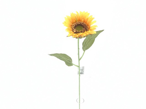 [DHG-071288] TOURNESOL
