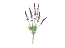 [DHG-007731] ***46CM LAVENDER BUNDLE X3/12LVS