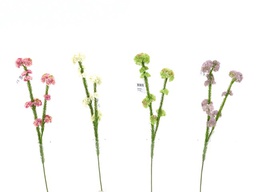 [DHG-383839916355] ***57CM RICE FLOWER SPRAY X 2