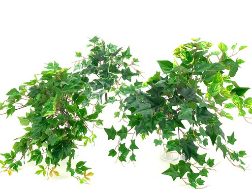 [DHG-083590] ***22" PE LEAF BUSH