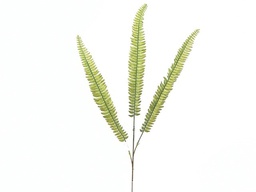 [DHG-383839952269] ***86CM FERN SPRAY