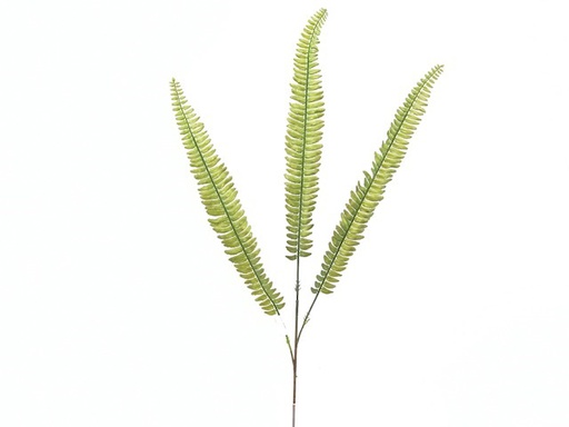[DHG-383839952269] ***86CM FERN SPRAY