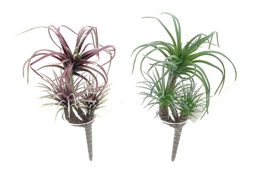 [DHG-383839910699] PLANTES GRASSES - 2 MODÈLES - 20CM