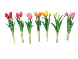 [DHG-383839900259] ***41CM TULIP BUNDLE X 5