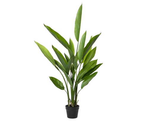 [4-835087] HÉLICIONA EN POT - 21 FEUILLES - dia60.00-H110.00cm