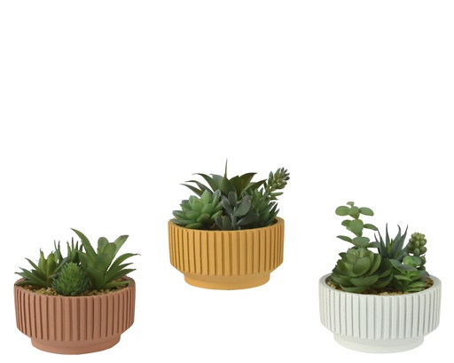 [4-860613] PLANTES GRASSES EN POT - 3 MODÈLES - PRIX À L'UNITÉ - dia12.50-H13.00cm