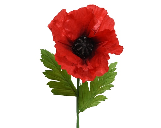 [4-804986] ***POPPY POLYESTER RED L40.00-W40.00-H115.00cm