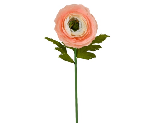 [4-877701] ***RANUNCULUS POLYESTER PEACH L35.00-W35.00-H125.00cm