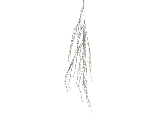 [4-708986] ***SPRAY PLASTIC CHAMPAGNE L20.00-W6.00-H140.00cm