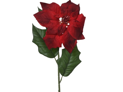 [4-220276] ***POINSETTIA POLYESTER VELVET RED/COLOUR(S) L22.00-W23.00-H67.00cm