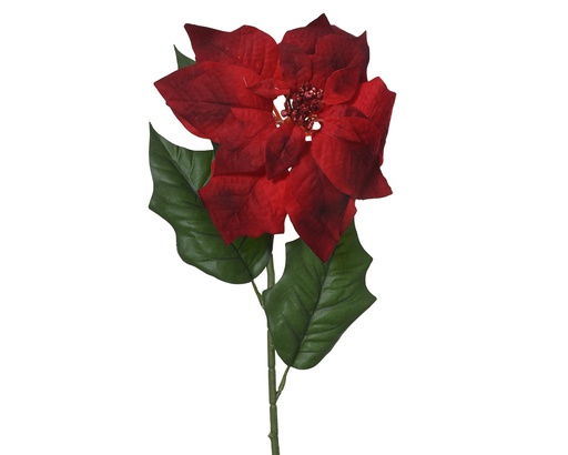 [4-220276] BRANCHE DE POINSETTIA - ROUGE - L22.00-W23.00-H67.00cm