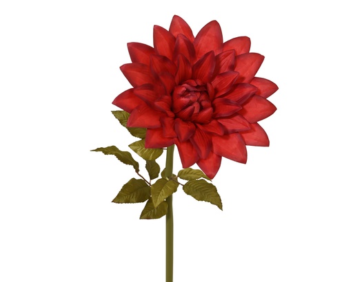 [4-708419] DAHLIA XXL - ROUGE - dia38.00-W38.00-H115.00cm