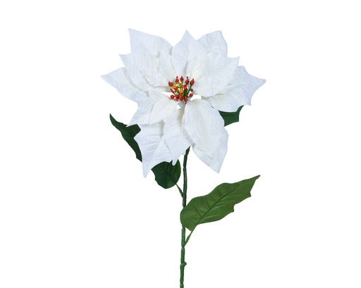 [4-220944] ***POINSETTIA POLYESTER OFF-WHITE L22.00-W23.00-H67.00cm
