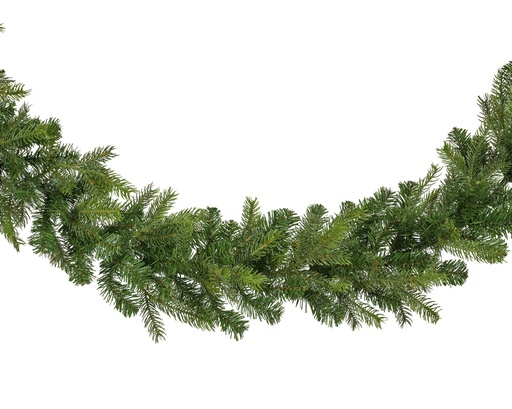 [4-680849] GUIRNALDA GRANDIS GREEN dia20.00-L180.00cm