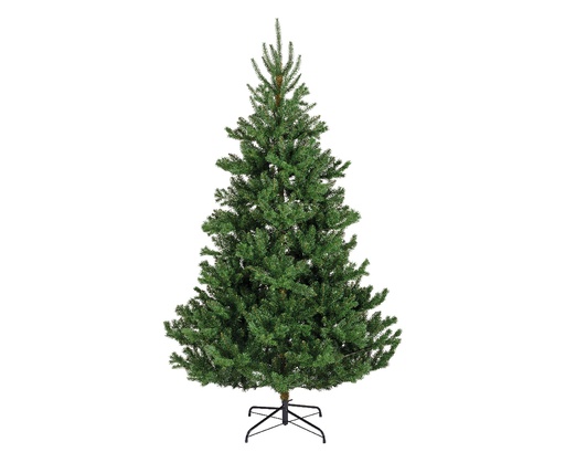 [4-684466] ***ALBA FIR GREEN dia127.00-H210.00cm