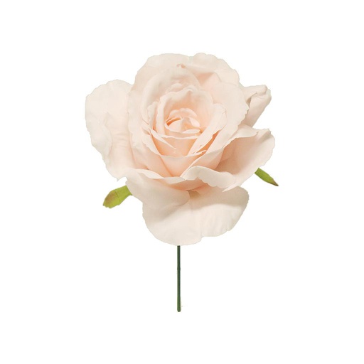 [12-89598-7] ROSE GLACÉE - CHOUX ROSE - 25CM