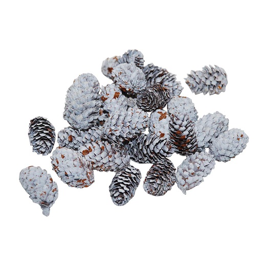 [HBX-100480048] MINI PIÑAS BLC.BOLSA 4-5CM