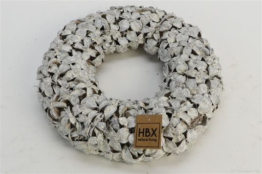 [HBX-311902324] CORONA FRUTO ALG BLC/PLAT D30CM