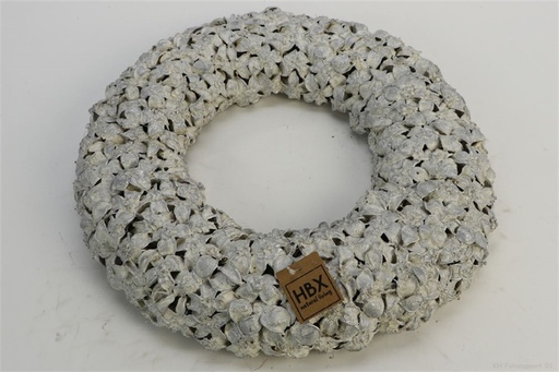 [HBX-311902326] CORONA FRUTO ALG BLC/PLAT D45CM