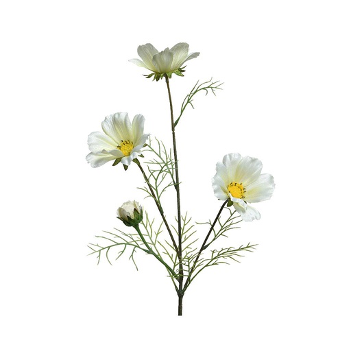[4-800555] COREOPSIS BLANCA - RAMA DE 64CM