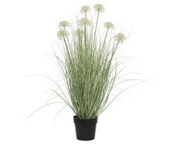 [4-800282] HIERBA C/FLOR ALLIUM D65X105CM