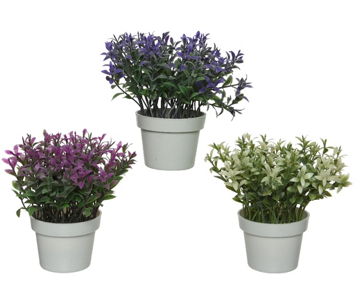 [4-800459] PLASTIC PLANT IN POT 3COL ASS DIA7.50-H15CM