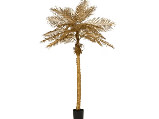 [4-201989] PALMERA DORADA -  L125.00-W110.00-H270.00cm
