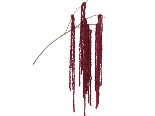 [4-531381] ***SPRAY POLYESTER BURGUNDY L15.00-W5.00-H80.00cm