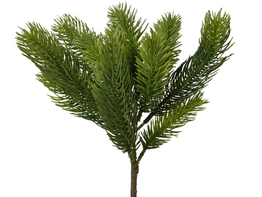 [4-684918] ***SPRAY GREEN L10.00-W10.00-H25.00cm