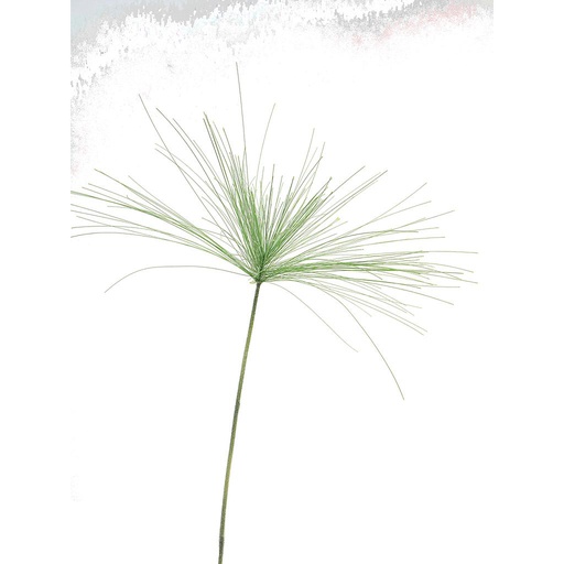 [12-12128-1] BRANCHE DE CYPERUS, 98CM VERTE