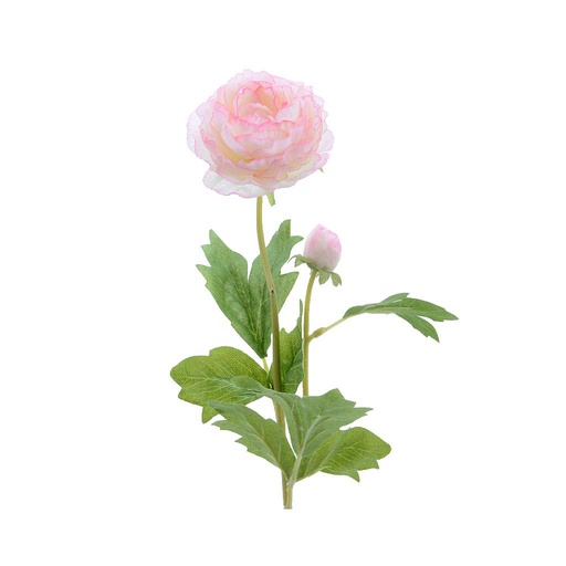 [4-802242] RANUNCULO SEDA SPRAY 57CM ROSACLARO